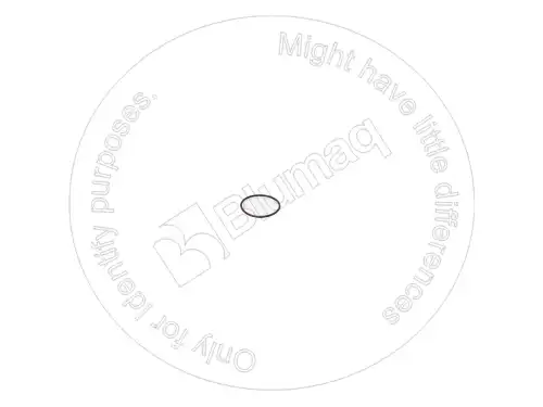 УПЛОТНИТЕЛЬНОЕ КОЛЬЦО 1798128 ST BLUMAQ