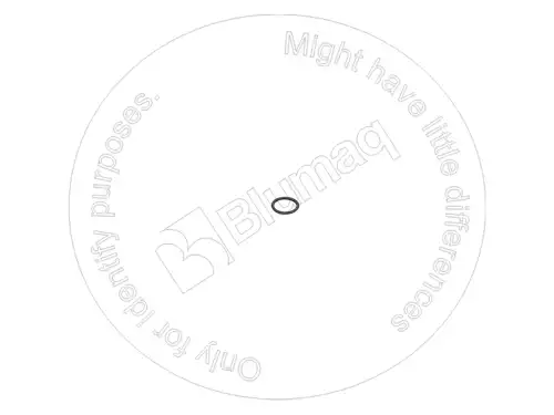 УПЛОТНИТЕЛЬНОЕ КОЛЬЦО 1999751 ST BLUMAQ
