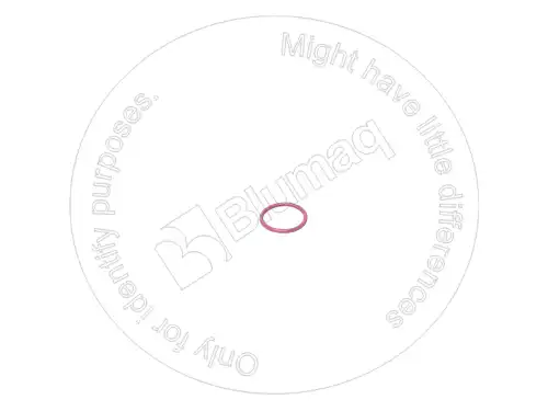 УПЛОТНИТЕЛЬНОЕ КОЛЬЦО 7E4846 ST BLUMAQ