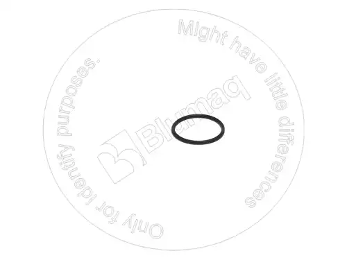 УПЛОТНИТЕЛЬНОЕ КОЛЬЦО 7F2122 ST BLUMAQ