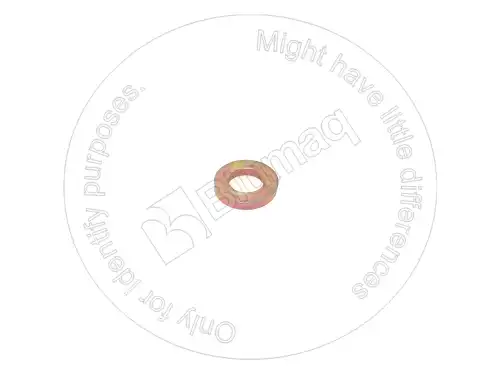 WASHER FLA 2089036 ST BLUMAQ