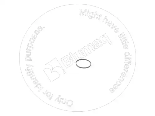 КОЛЬЦО 7G4822 OE BLUMAQ