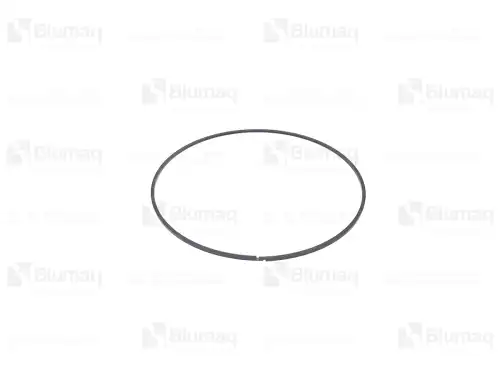 УПЛОТНИТЕЛЬНОЕ КОЛЬЦО 7G5670 ST BLUMAQ