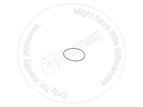 УПЛОТНИТЕЛЬНОЕ КОЛЬЦО 2242639 ST BLUMAQ