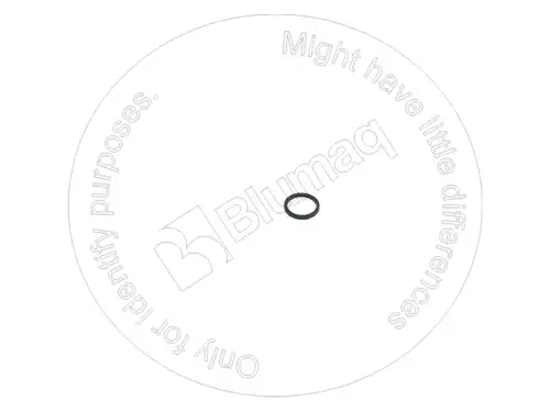 УПЛОТНЕНИЕ 7N6806 ST BLUMAQ