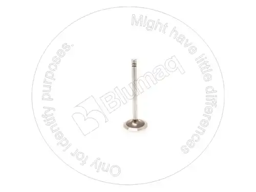 КЛАПАН 7S8809 BQ BLUMAQ