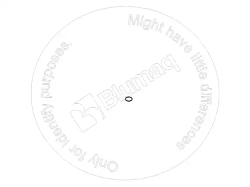 2385079 ST УПЛОТНИТЕЛЬНОЕ КОЛЬЦО BLUMAQ