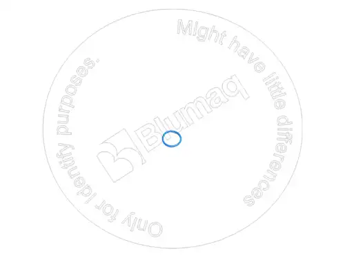 УПЛОТНИТЕЛЬНОЕ КОЛЬЦО 2385083 ST BLUMAQ