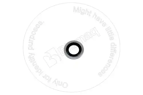УПЛОТНИТЕЛЬНОЕ КОЛЬЦО 2409543 ST BLUMAQ