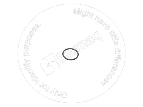 УПЛОТНИТЕЛЬНОЕ КОЛЬЦО 2424313 ST BLUMAQ