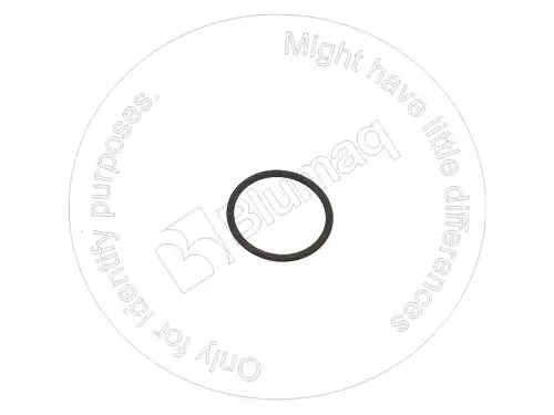 УПЛОТНИТЕЛЬНОЕ КОЛЬЦО 7X4744 ST BLUMAQ