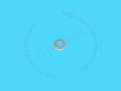 ШАЙБА 2570271 ST BLUMAQ