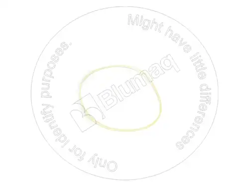 УПЛОТНИТЕЛЬНОЕ КОЛЬЦО 8C4892 ST BLUMAQ
