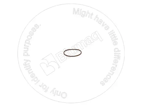 УПЛОТНИТЕЛЬНОЕ КОЛЬЦО 2722583 ST BLUMAQ