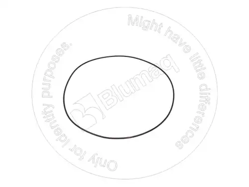 УПЛОТНИТЕЛЬНОЕ КОЛЬЦО 2738314 ST BLUMAQ