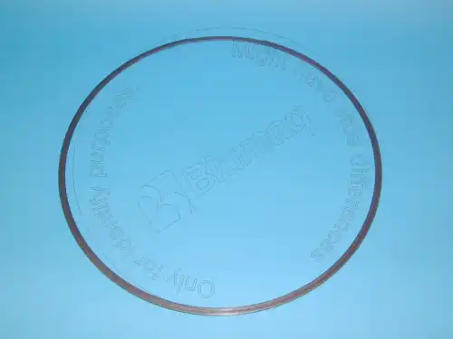 КОЛЬЦО 8E2819 OE BLUMAQ