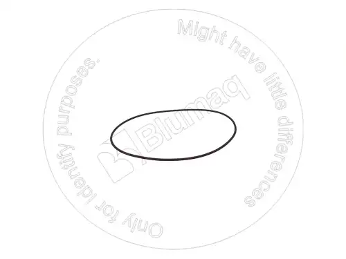 УПЛОТНИТЕЛЬНОЕ КОЛЬЦО 8F5900 ST BLUMAQ