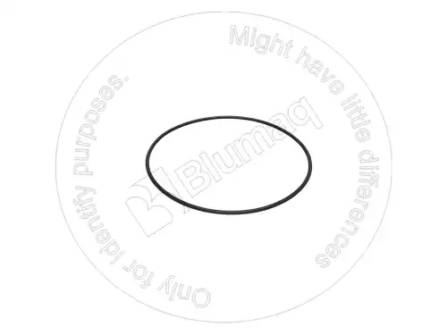 УПЛОТНИТЕЛЬНОЕ КОЛЬЦО 8F8733 ST BLUMAQ