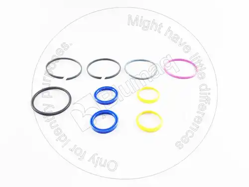 КОМПЛЕКТ УПЛОТНЕНИЯ 2925424 OE BLUMAQ