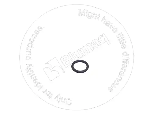 УПЛОТНИТЕЛЬНОЕ КОЛЬЦО 2941803 ST BLUMAQ