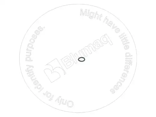 УПЛОТНИТЕЛЬНОЕ КОЛЬЦО 2941849 ST BLUMAQ