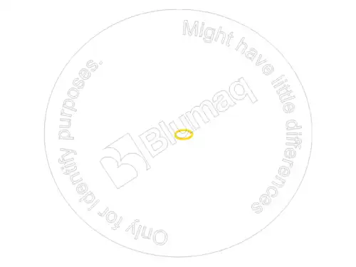 УПЛОТНИТЕЛЬНОЕ КОЛЬЦО 8M8283 ST BLUMAQ