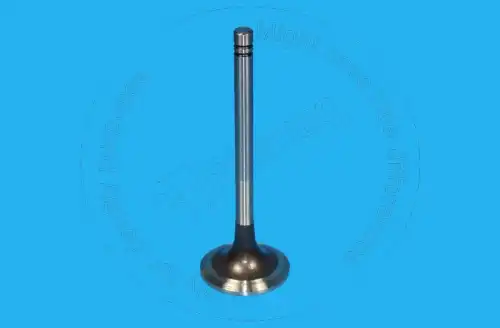 КЛАПАН 8N0875 BQ BLUMAQ