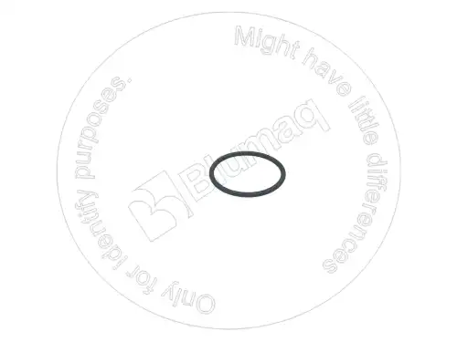 УПЛОТНИТЕЛЬНОЕ КОЛЬЦО 8T7273 ST BLUMAQ