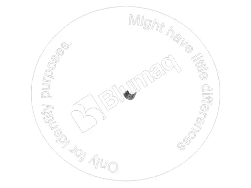 ЗАМОК 3790174 ST BLUMAQ