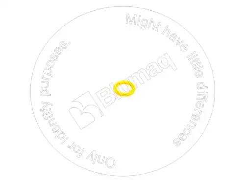 УПЛОТНИТЕЛЬНОЕ КОЛЬЦО 9H6067 OE BLUMAQ