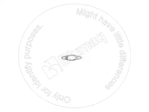 ПРОКЛАДКА 9M5376 BQ BLUMAQ