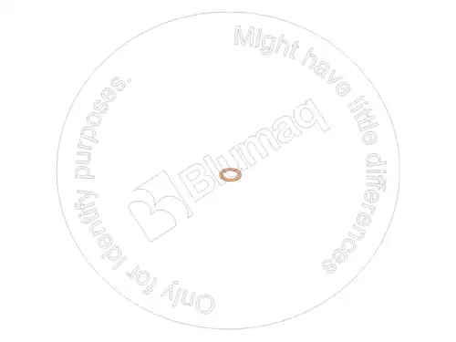УПЛОТНЕНИЕ 4264357 ST BLUMAQ