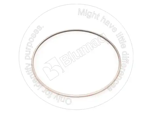 УПЛОТНЕНИЕ 4289130 ST BLUMAQ