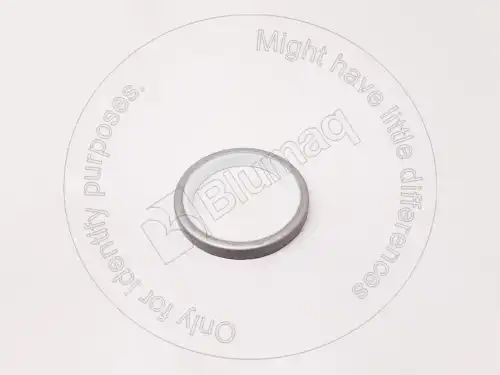 Сальник 4337105 ST BLUMAQ