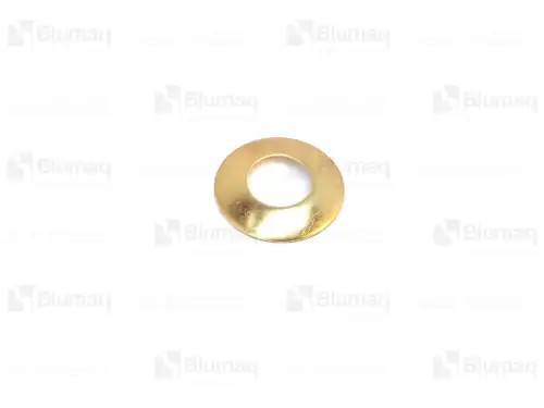 ШАЙБА 9R2489 ST BLUMAQ