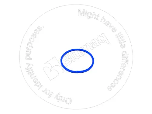 УПЛОТНИТЕЛЬНОЕ КОЛЬЦО 9U8886 ST BLUMAQ