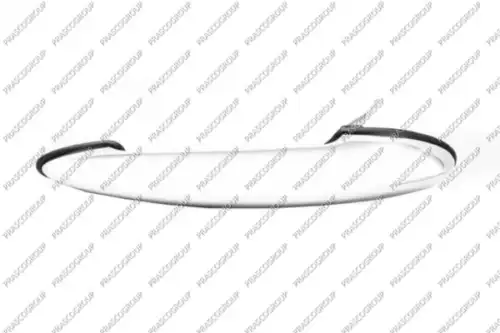 Ручка двери PRASCO MN3048006
