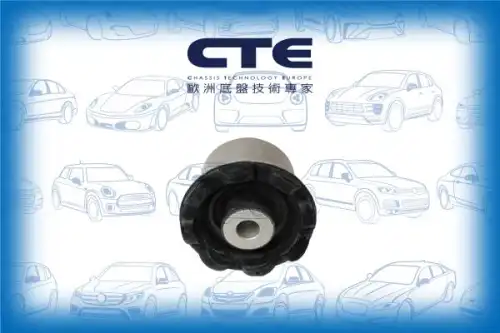 Рычаг подвески CTE CBH31030