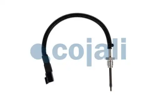 Датчик температуры автомобильный COJALI 2260891
