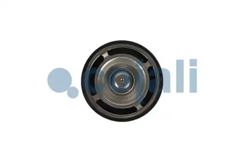 Термостат системы охлаждения COJALI 2880274