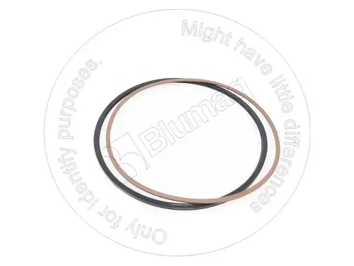 ПРОКЛАДКА TX5904658631 BLUMAQ