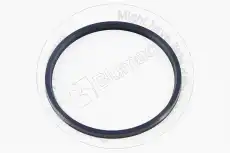 УПЛОТНЕНИЕ TX5904658721 BLUMAQ
