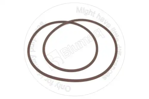 УПЛОТНИТЕЛЬНОЕ КОЛЬЦО TX6073776 BLUMAQ