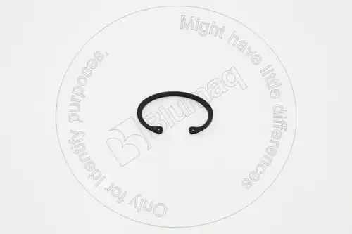 УПОРНОЕ КОЛЬЦО TX9399240 BLUMAQ