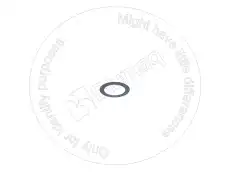 ШАЙБА JDR121594 BLUMAQ