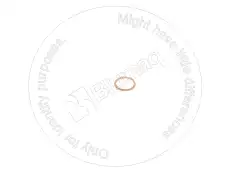 ШАЙБА TX8009256 BLUMAQ
