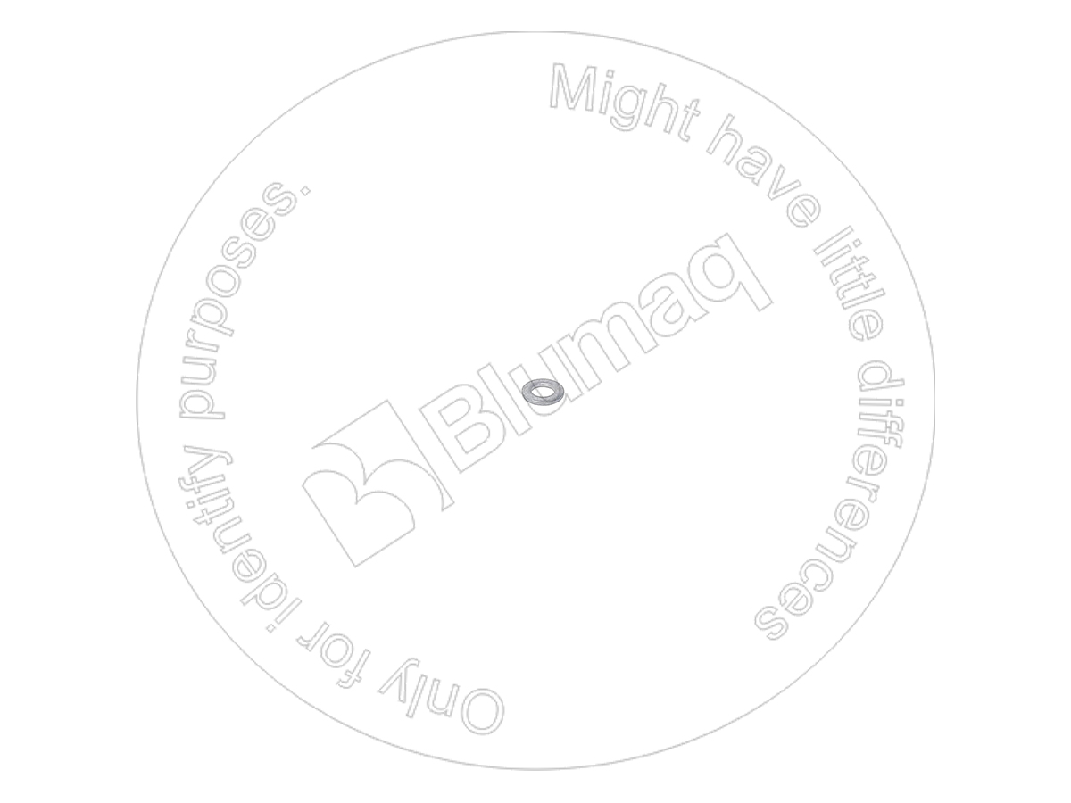 ШАЙБА 01640-20305 ST BLUMAQ