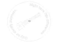 ШАЙБА 01642-30608 ST BLUMAQ
