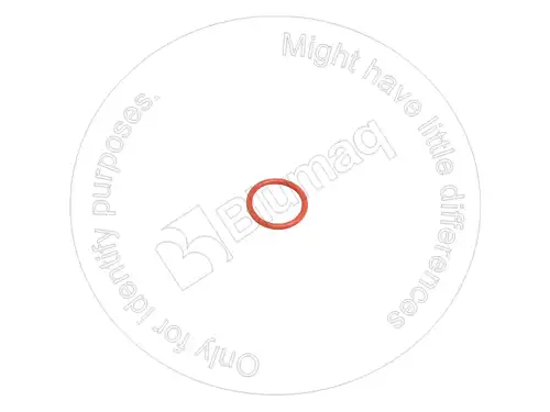 УПЛОТНИТЕЛЬНОЕ КОЛЬЦО 07000-63030 ST BLUMAQ