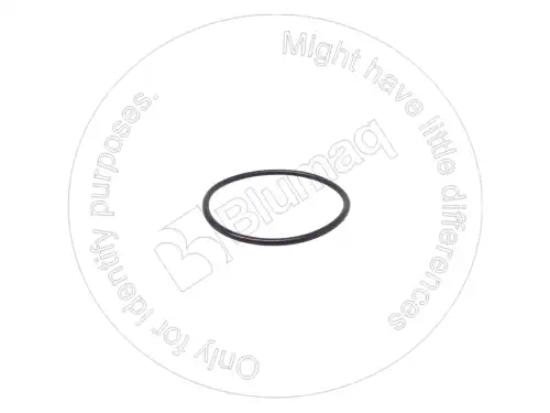 УПЛОТНИТЕЛЬНОЕ КОЛЬЦО 07000-A2060 ST BLUMAQ